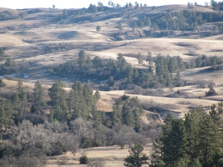 Rosebud Sioux Tribe